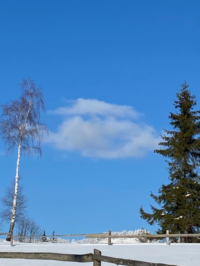 Садиба Anna Slavske Exteriör bild